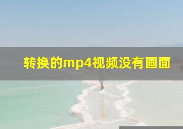 转换的mp4视频没有画面