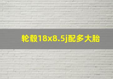 轮毂18x8.5j配多大胎