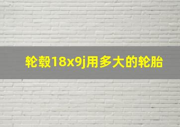 轮毂18x9j用多大的轮胎