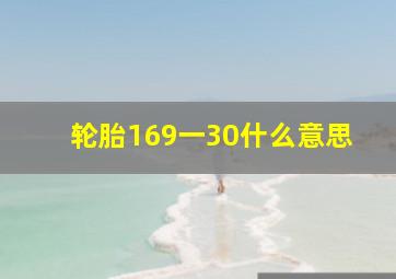 轮胎169一30什么意思