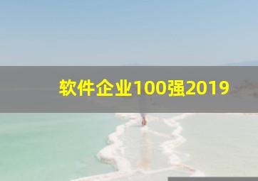 软件企业100强2019