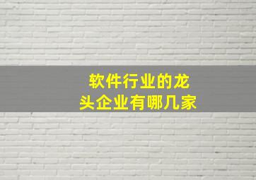 软件行业的龙头企业有哪几家