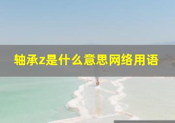 轴承z是什么意思网络用语