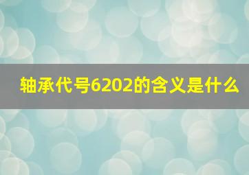 轴承代号6202的含义是什么