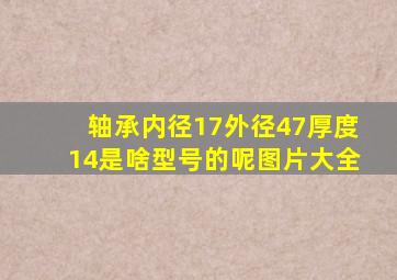 轴承内径17外径47厚度14是啥型号的呢图片大全