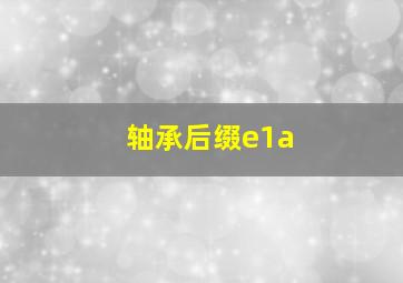 轴承后缀e1a