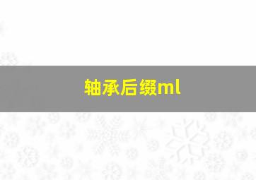 轴承后缀ml