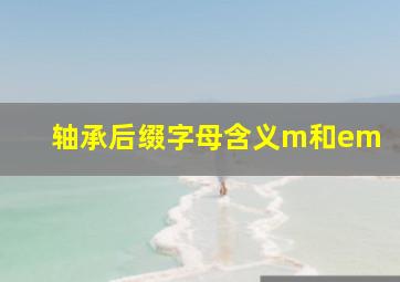 轴承后缀字母含义m和em