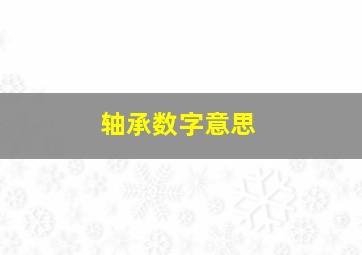 轴承数字意思