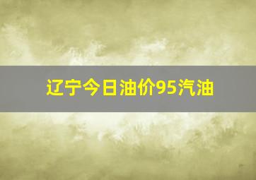 辽宁今日油价95汽油