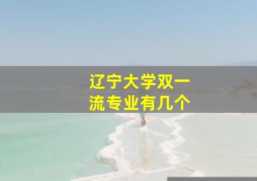 辽宁大学双一流专业有几个