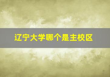 辽宁大学哪个是主校区