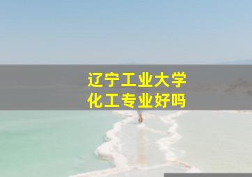 辽宁工业大学化工专业好吗