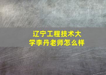 辽宁工程技术大学李丹老师怎么样