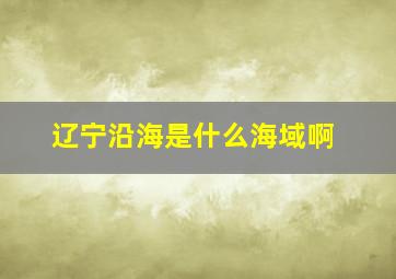 辽宁沿海是什么海域啊