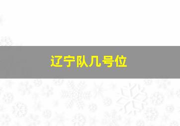 辽宁队几号位