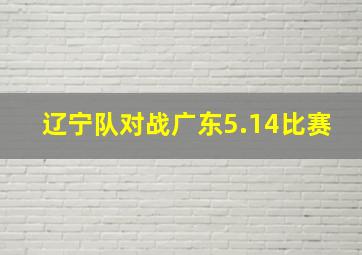 辽宁队对战广东5.14比赛