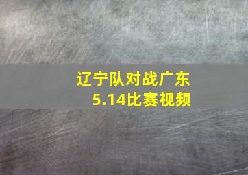 辽宁队对战广东5.14比赛视频