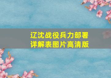 辽沈战役兵力部署详解表图片高清版