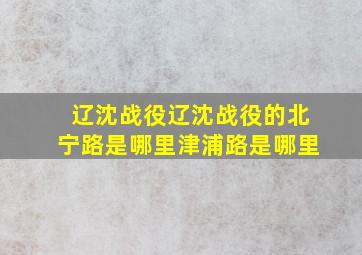 辽沈战役辽沈战役的北宁路是哪里津浦路是哪里