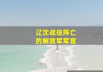 辽沈战役阵亡的解放军军官