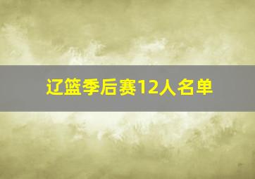 辽篮季后赛12人名单