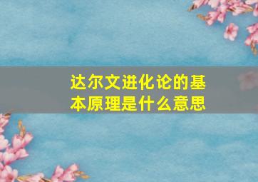 达尔文进化论的基本原理是什么意思