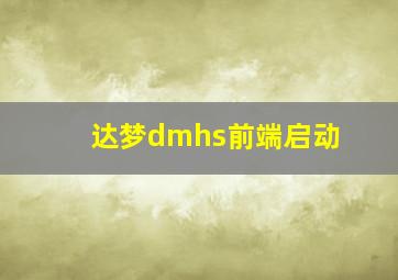 达梦dmhs前端启动