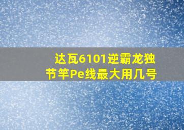 达瓦6101逆霸龙独节竿Pe线最大用几号