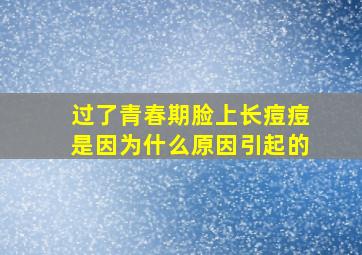 过了青春期脸上长痘痘是因为什么原因引起的