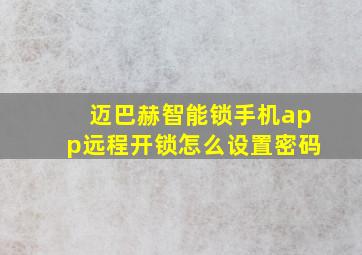 迈巴赫智能锁手机app远程开锁怎么设置密码