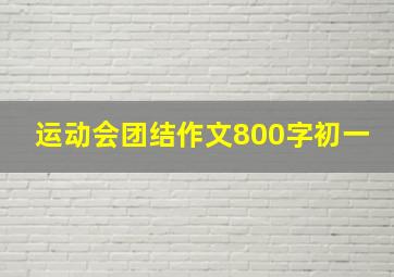 运动会团结作文800字初一