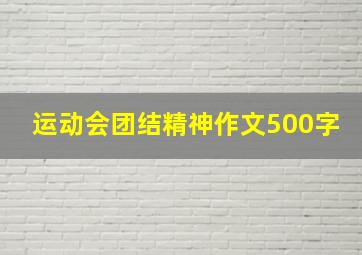 运动会团结精神作文500字