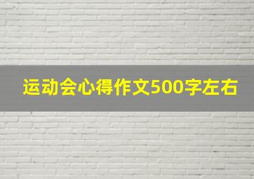 运动会心得作文500字左右