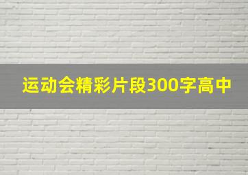 运动会精彩片段300字高中