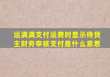 运满满支付运费时显示待货主财务审核支付是什么意思