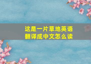 这是一片草地英语翻译成中文怎么读