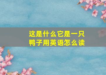 这是什么它是一只鸭子用英语怎么读