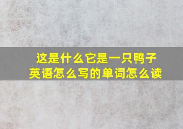 这是什么它是一只鸭子英语怎么写的单词怎么读