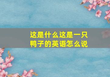 这是什么这是一只鸭子的英语怎么说