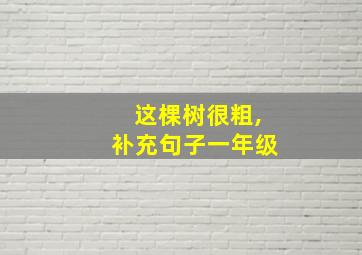 这棵树很粗,补充句子一年级