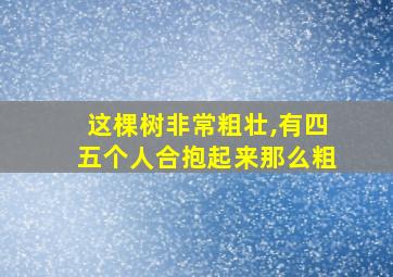 这棵树非常粗壮,有四五个人合抱起来那么粗