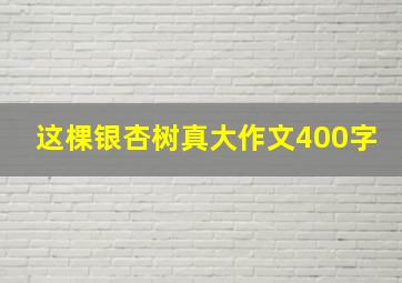 这棵银杏树真大作文400字