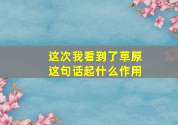 这次我看到了草原这句话起什么作用