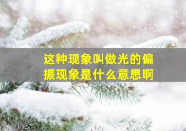 这种现象叫做光的偏振现象是什么意思啊