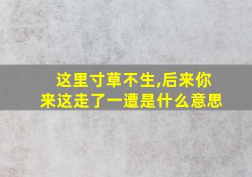 这里寸草不生,后来你来这走了一遭是什么意思