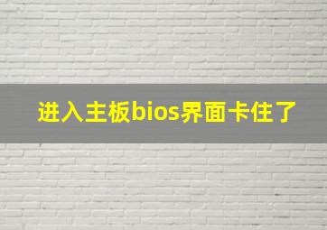 进入主板bios界面卡住了