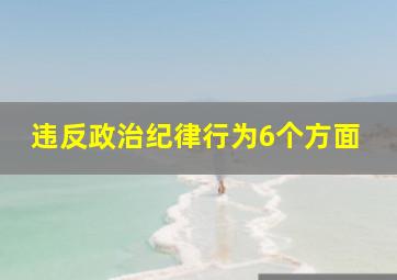 违反政治纪律行为6个方面