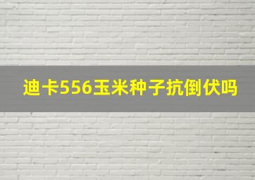 迪卡556玉米种子抗倒伏吗