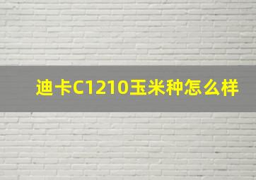 迪卡C1210玉米种怎么样